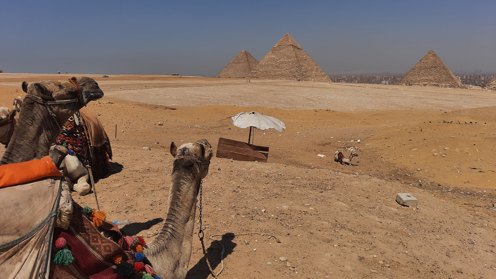 Giza, Cairo and Bahariya oasis in 6 days. . gallery