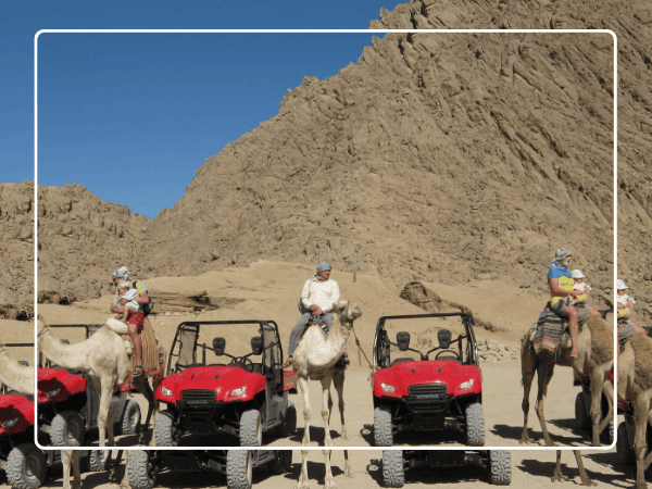 Quad Biking Safari