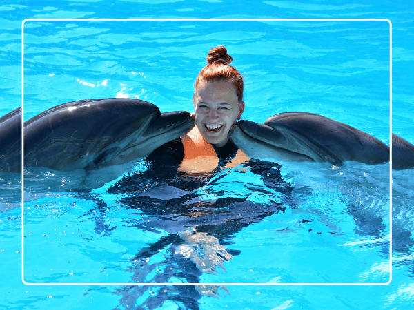 Swimming With Dolphins experience in Sharm el Sheikh