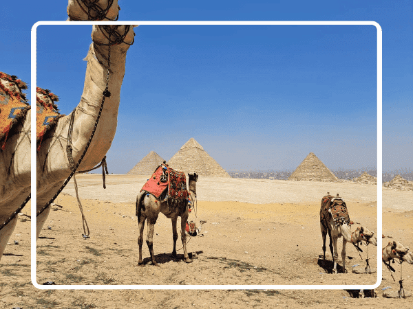 Luxury Egypt Tour Packages