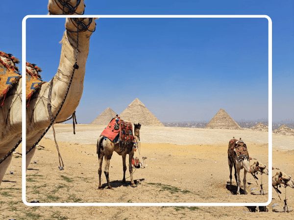 Pyramids of Giza Visit