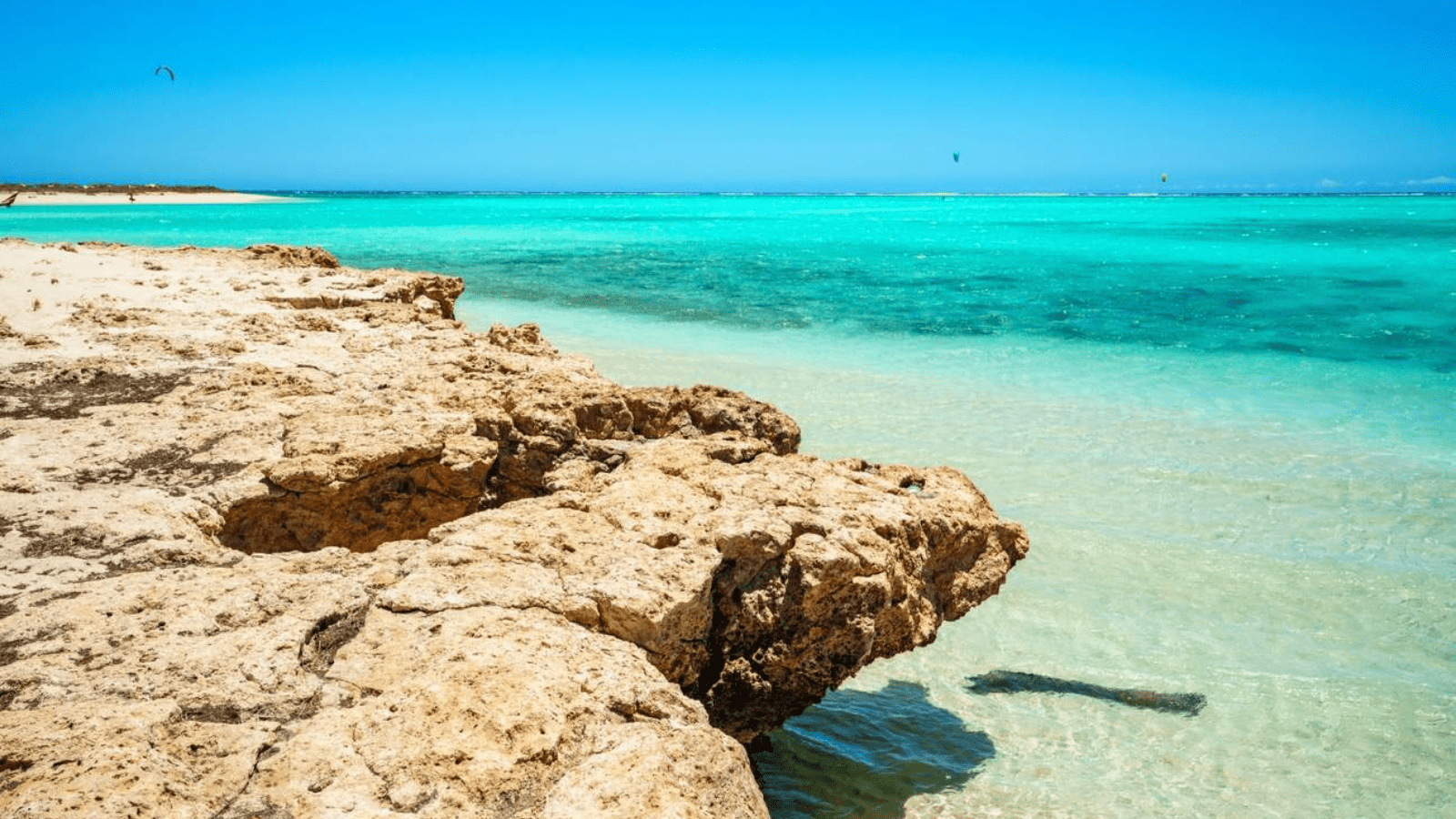 Parque Nacional Ras Mohammed coastline and clear Red Sea water near Sharm El Sheikh