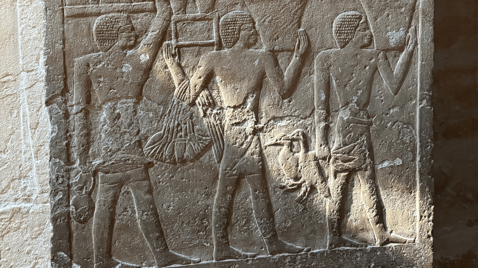 Saqqara archaeological lyscape near the Pirámide Escalonada de Djoser