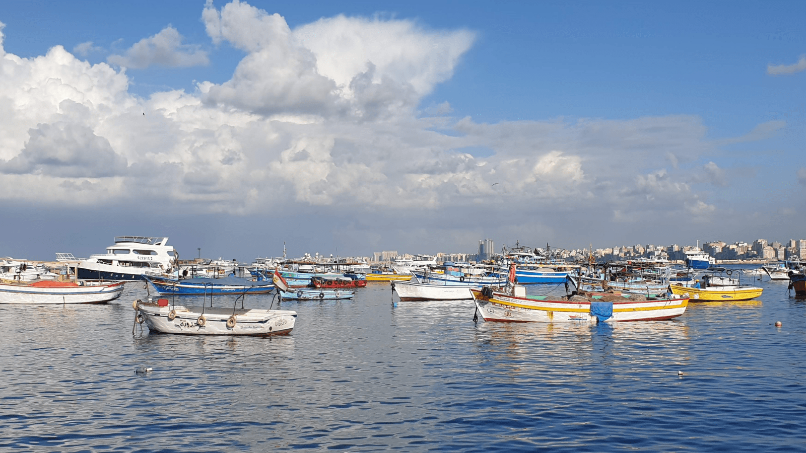 Alexandria Mediterranean sea views and coastal atmosphere