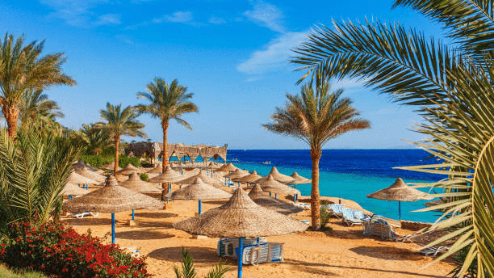 Excursión a Ain Sokhna desde El Cairo