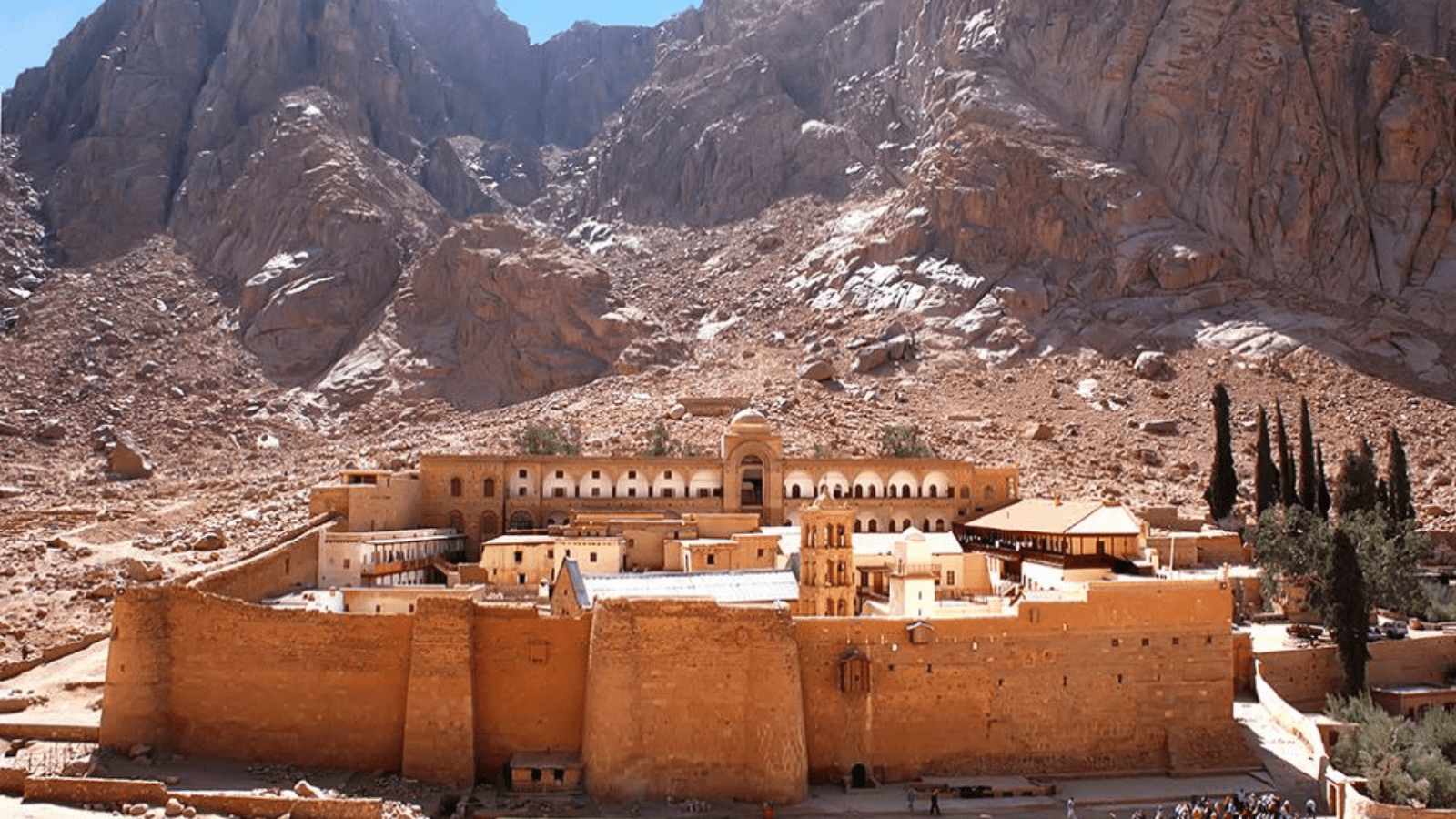 Bedouin & Wadi Experiences