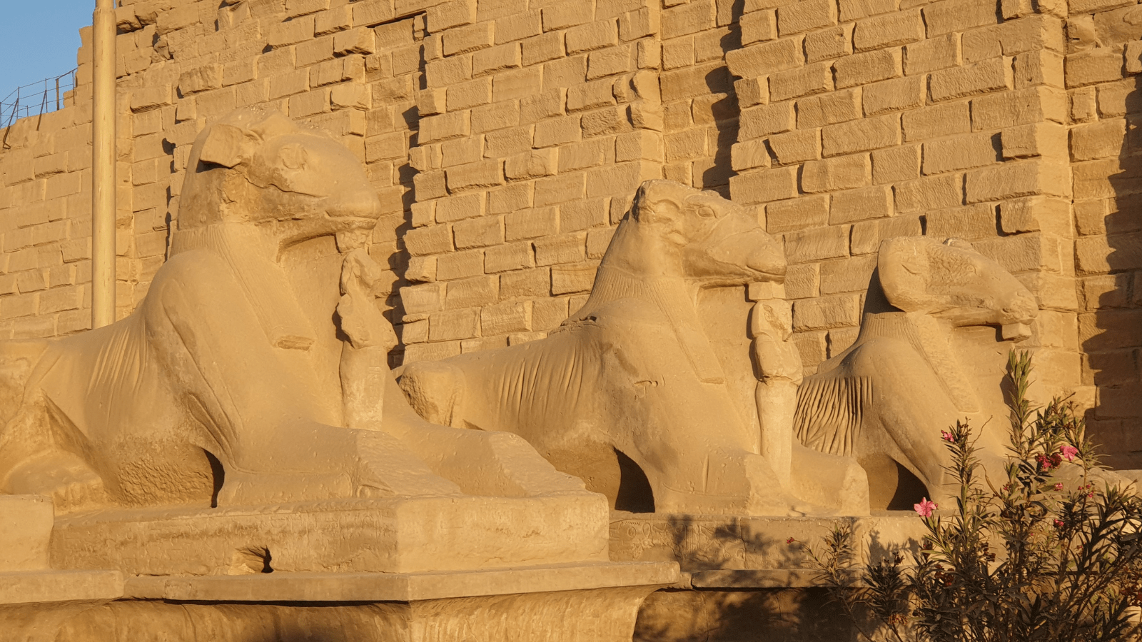 Karnak Temple sphinx avenue photo spot