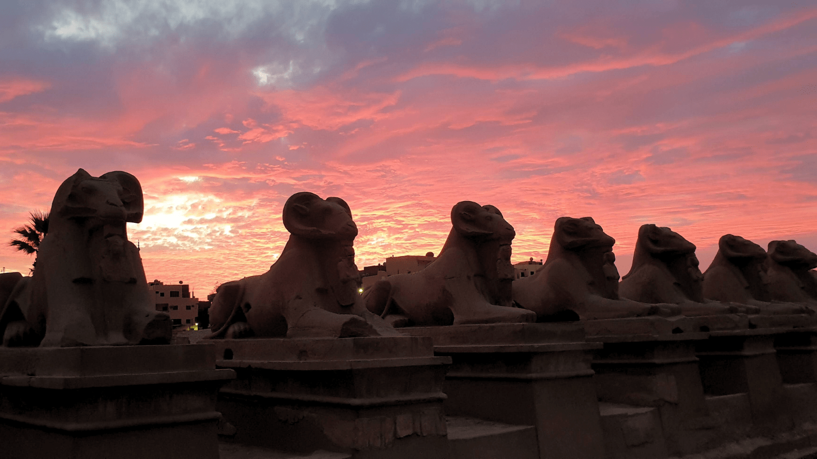 Esfinges con cabeza de carnero a lo largo de una ruta ceremonial en Karnak