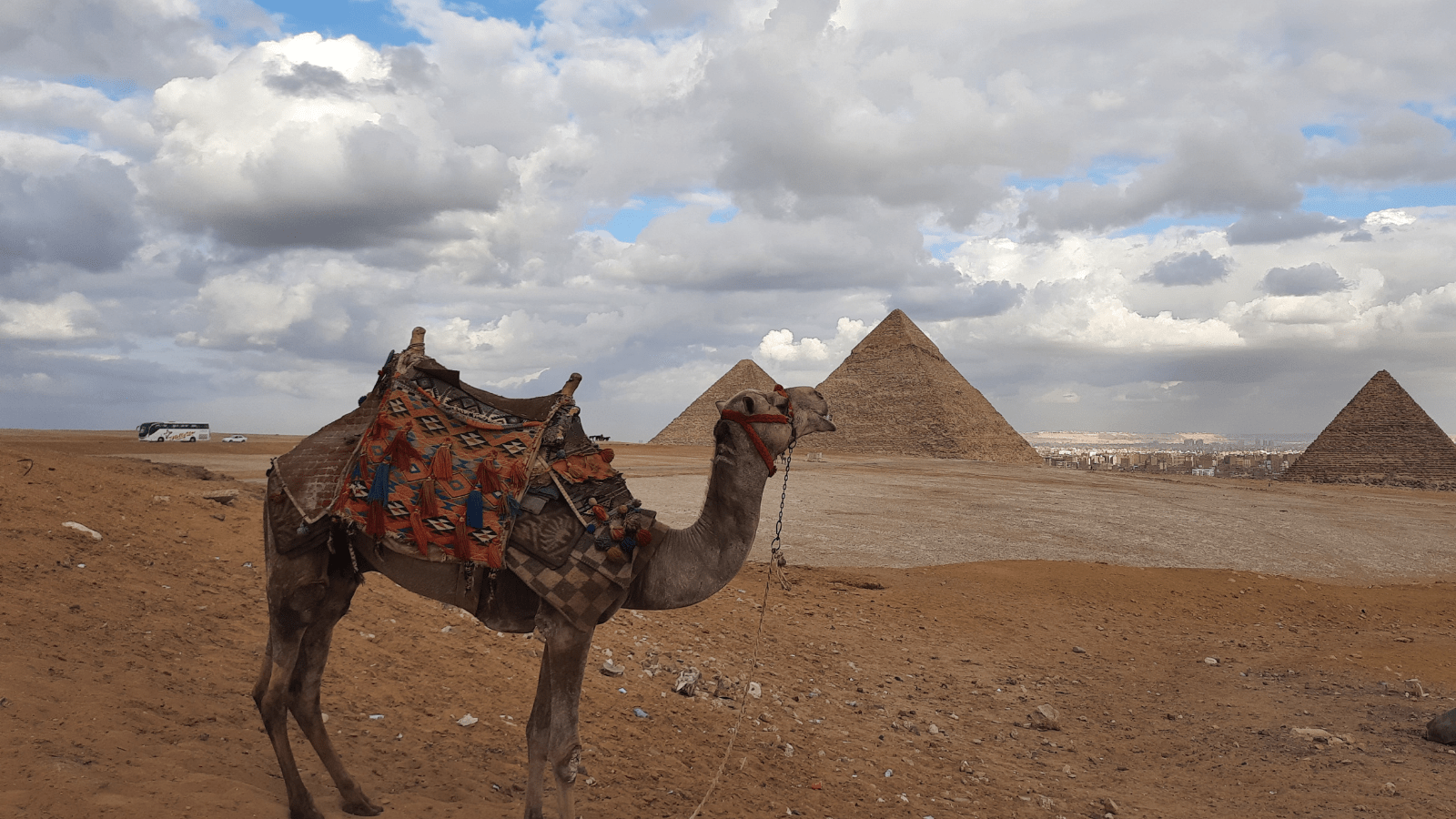 Giza Pyramids, Great Sphinx, GEM & Saqqara