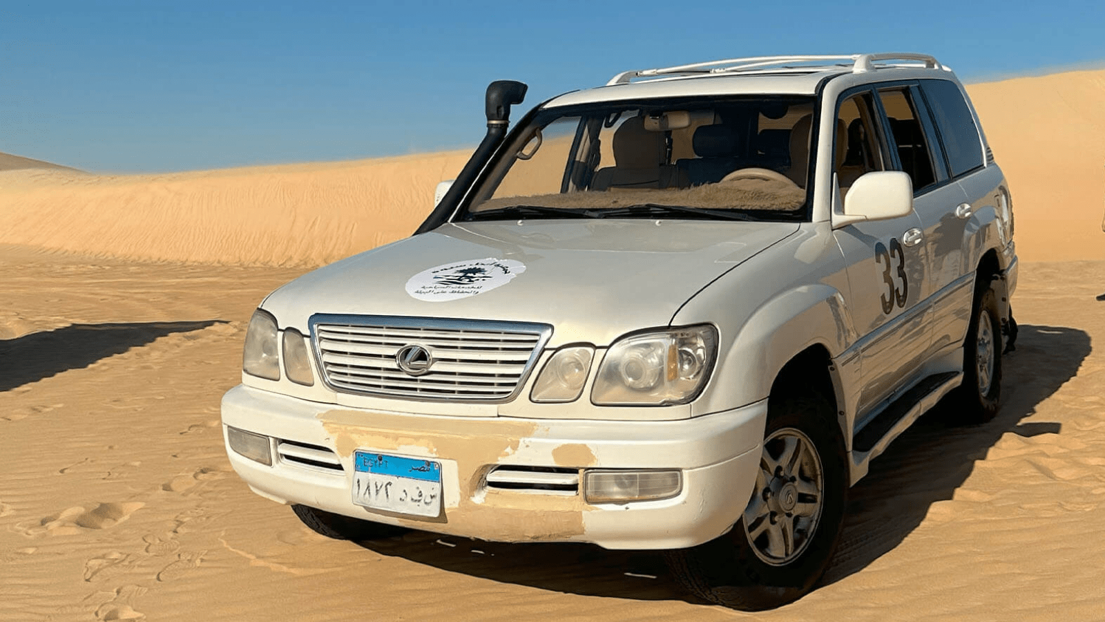 Sandboarding on high golden dunes in the Great Sand Sea near Siwa Oasis