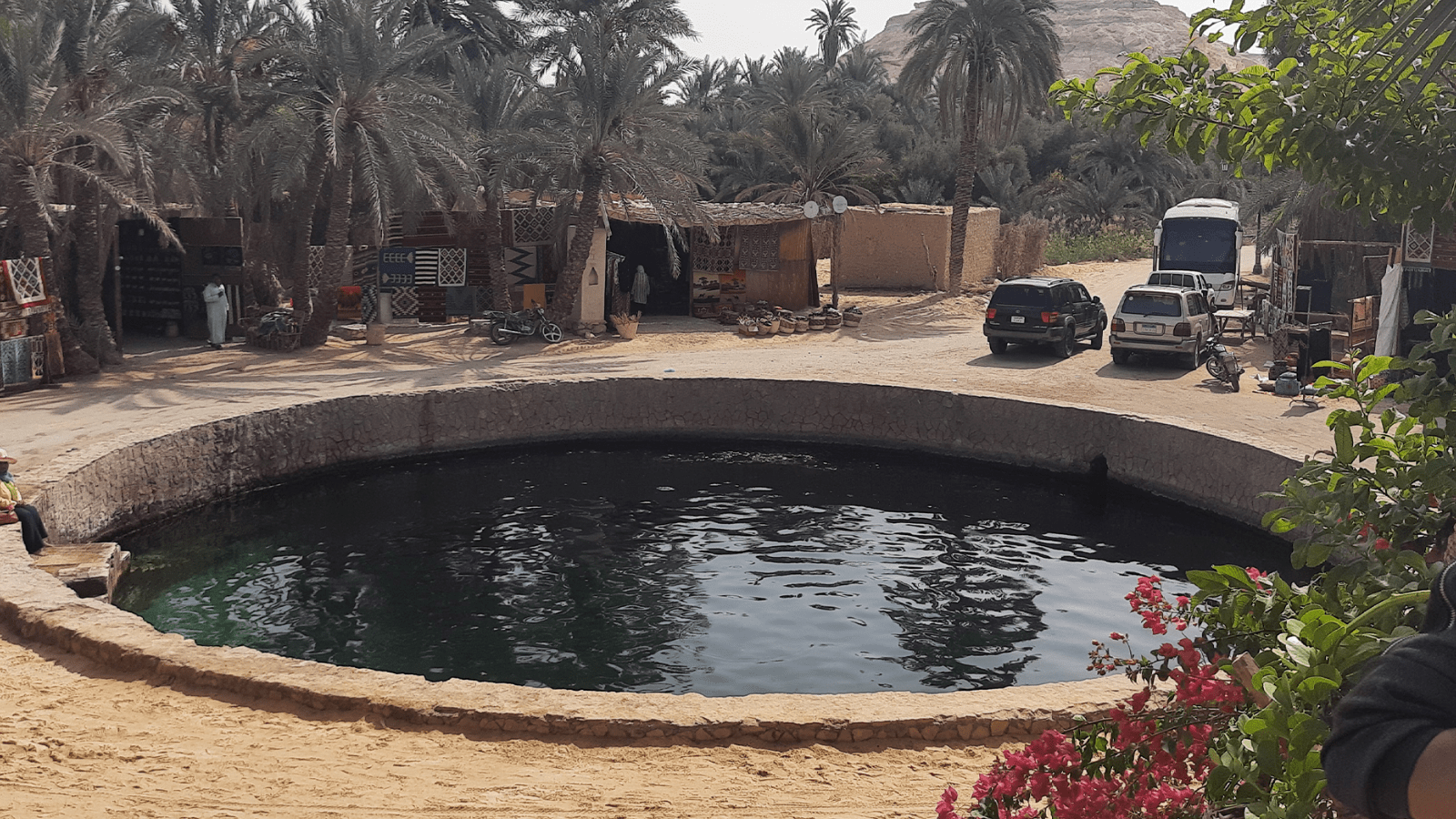 Palm-fringed traditional Siwa setting illustrating the oasis landscape around local cultural sites