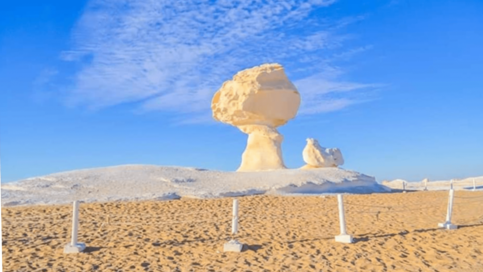 5 Day Cairo and Bahariya Oasis White Desert Safari
