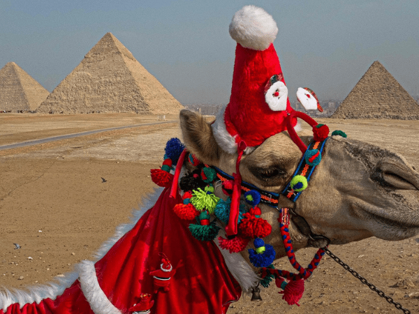 Vacanze di Natale in Egitto