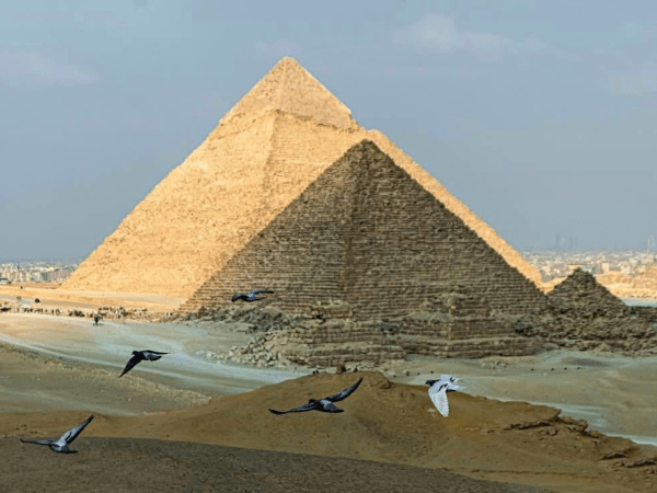 Tastes of Egypt in 8 days.