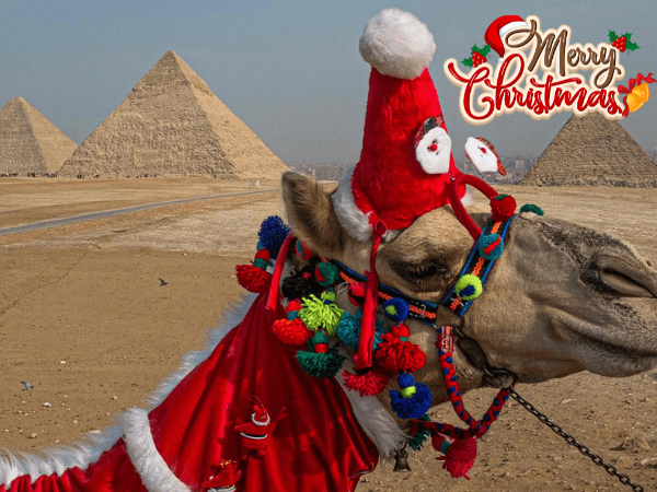 8 Days Cairo and Nile Cruise during the Christmas