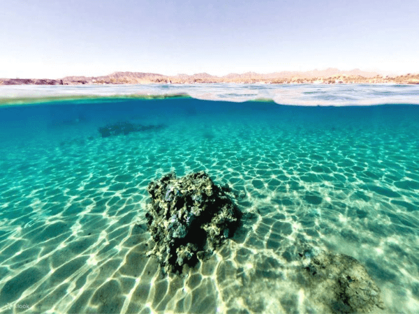 Clear shallow Red Sea water illustrating the calm lagoon experience near Hurghada