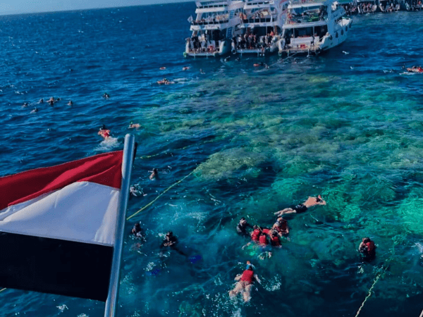 Guided snorkeling stop from a boat above a colorful Red Sea reef