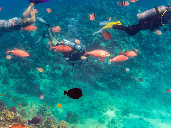 Orange Bay Island Tour