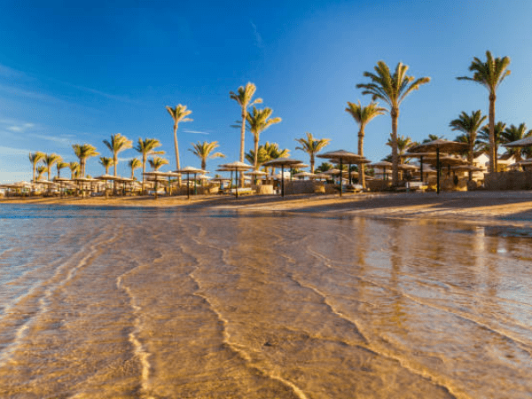 Sandy Red Sea beach with palm trees and shaded beach facilities near Hurghada