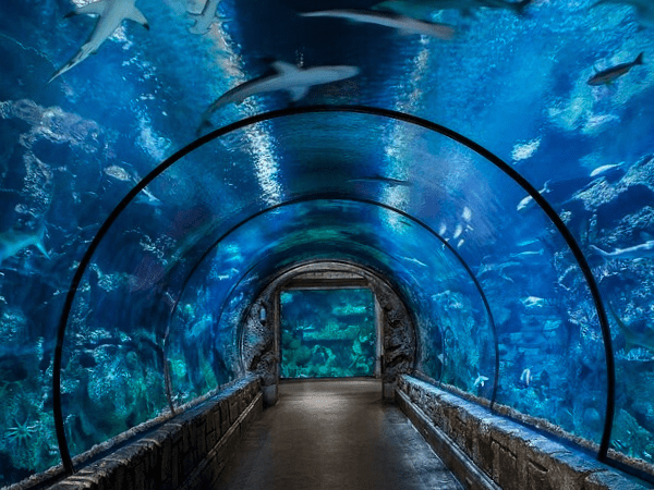 Hurghada Grand Aquarium underwater tunnel and marine life