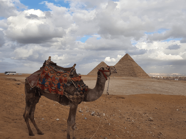 Piramidi di Giza