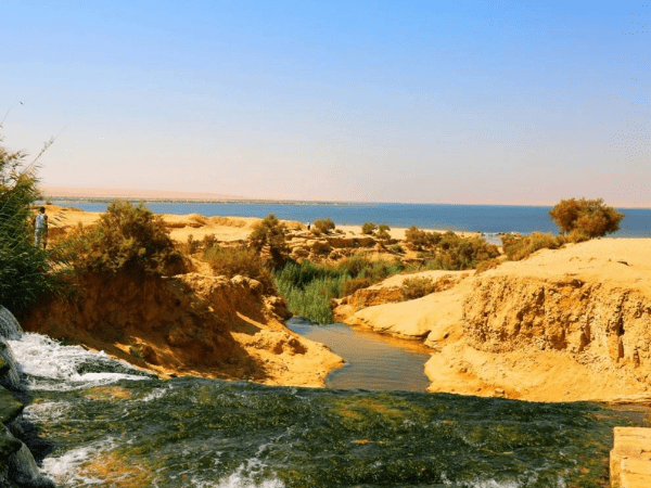 Why Is El-Fayoum a Must-See Destination in Egypt?