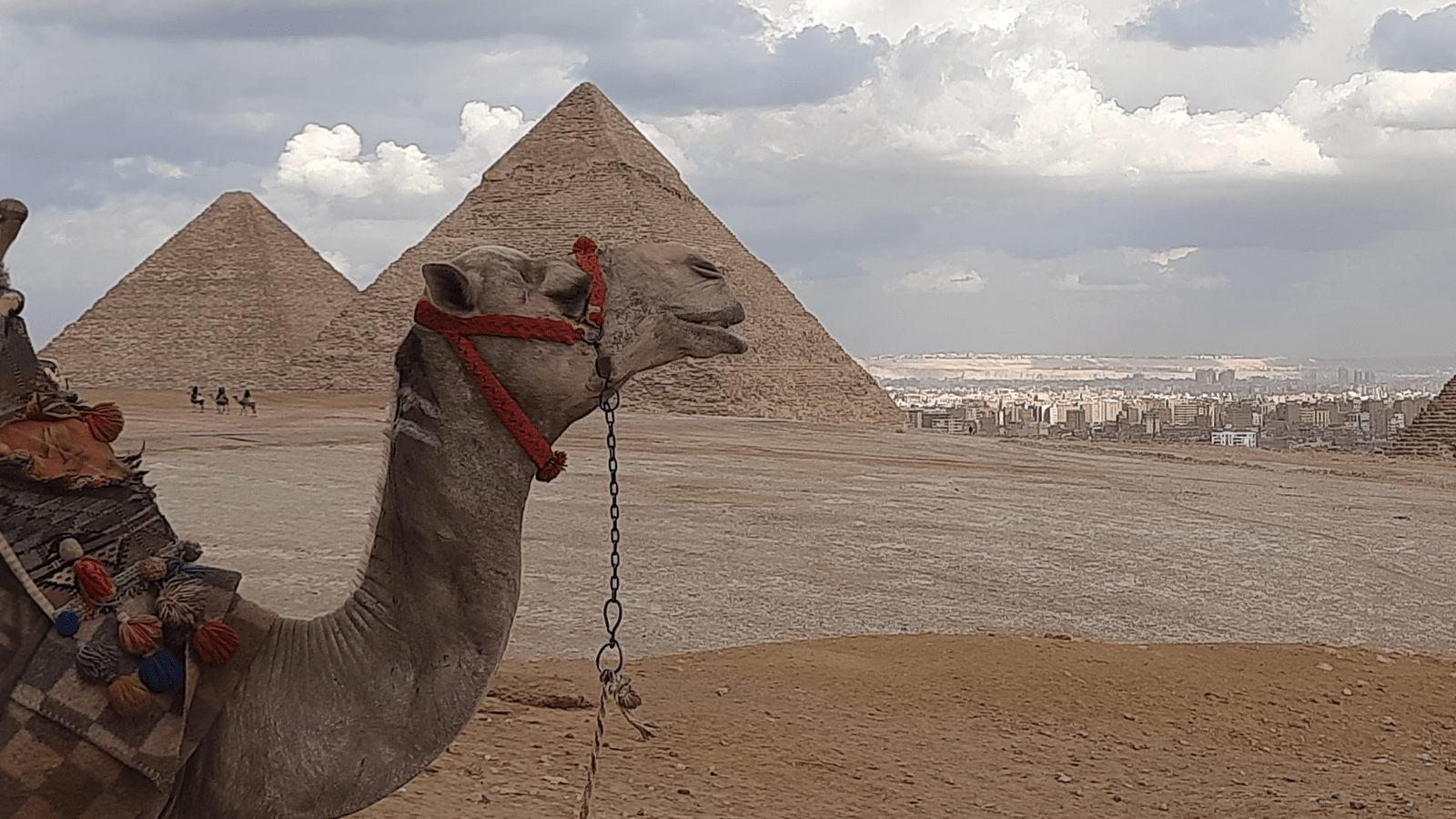 Egypt is a country where rich tapestry incredibly intermingles with modern life in an eternal balance. . banner