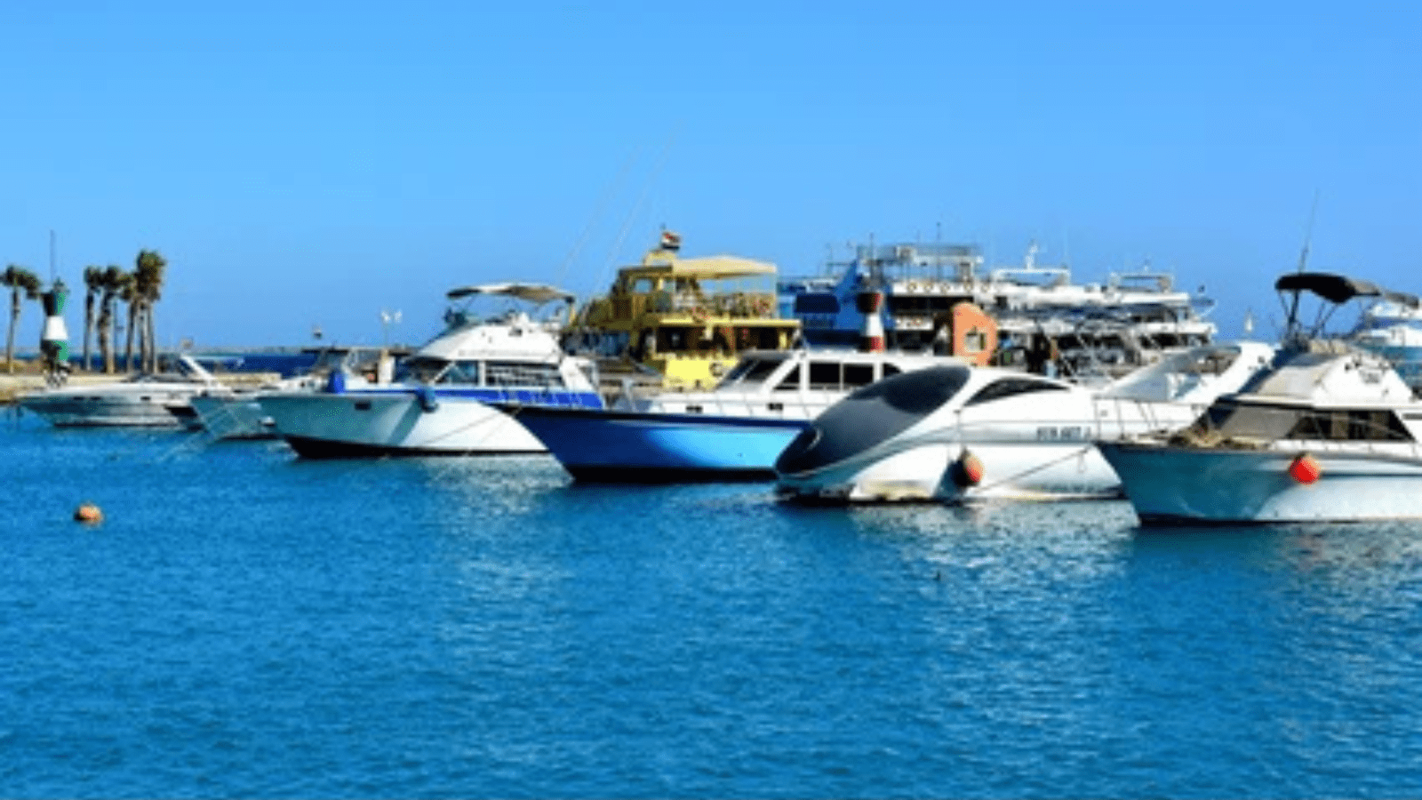 What is the Best Time of Year to Take an Egypt Tour? . banner
