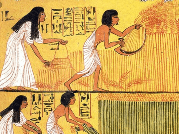 What Was Your Job in Ancient Egypt?