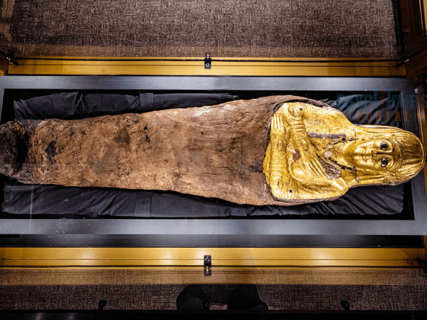Beyond the Pyramids: Discover Egypt’s Forgotten Necropolis of Gold