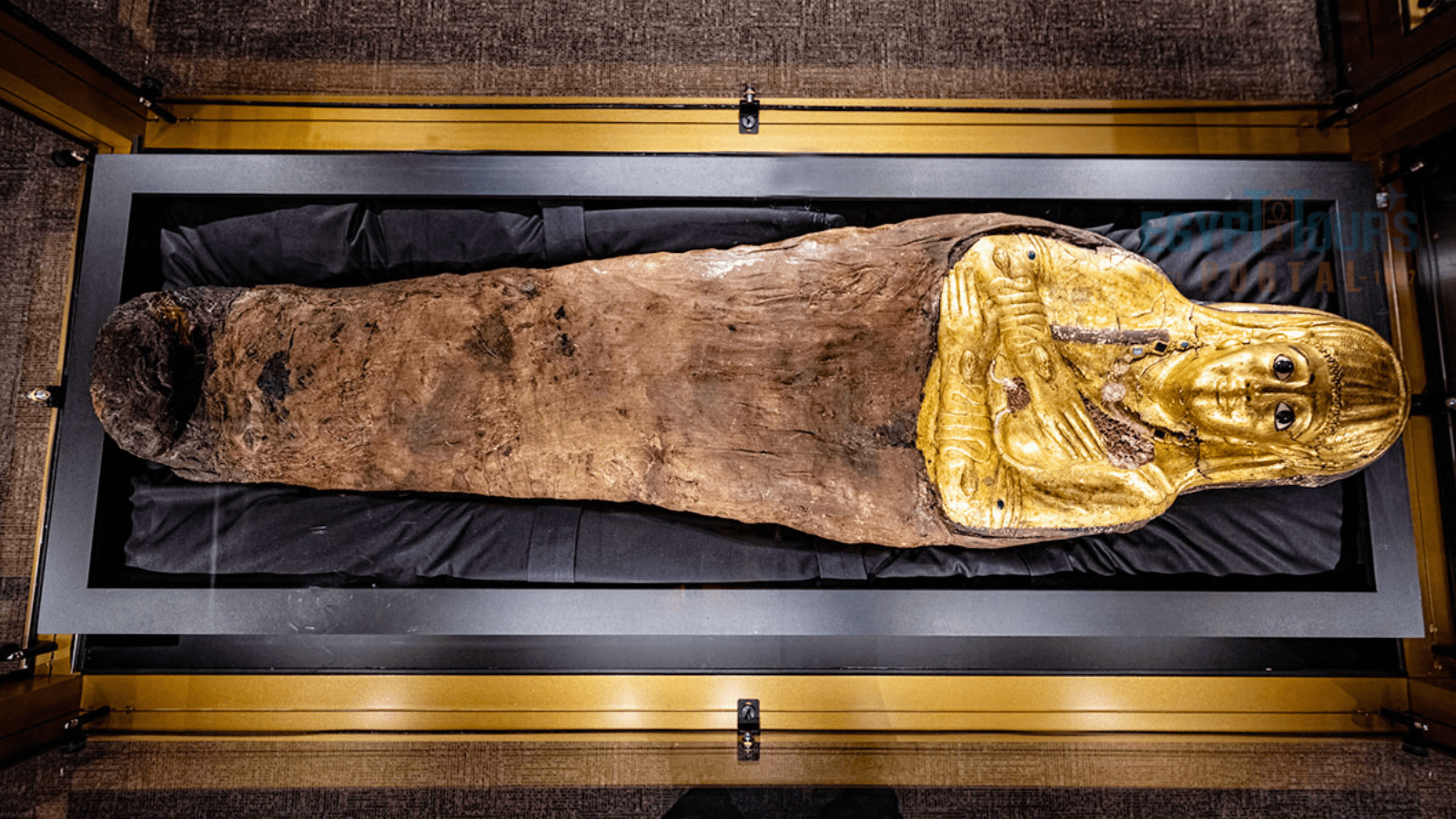 Beyond the Pyramids: Discover Egypt’s Forgotten Necropolis of Gold . banner