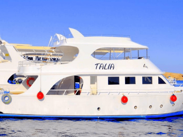 Snorkeling trip by boat to Ras Mohammed park and the white island.