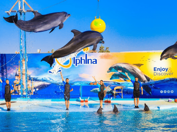 Hurghada Underwater Experience: Semi-Submarine Tour