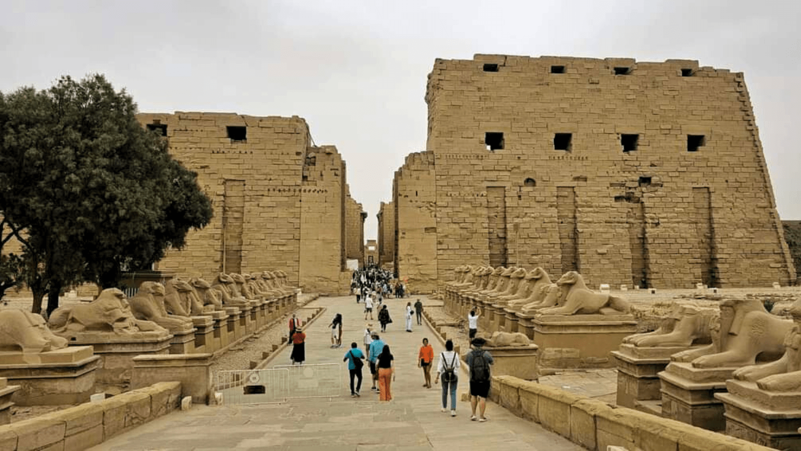 Travel Guide & Expert Tips for a 5 Days Nile Cruise from Luxor to Aswan . banner