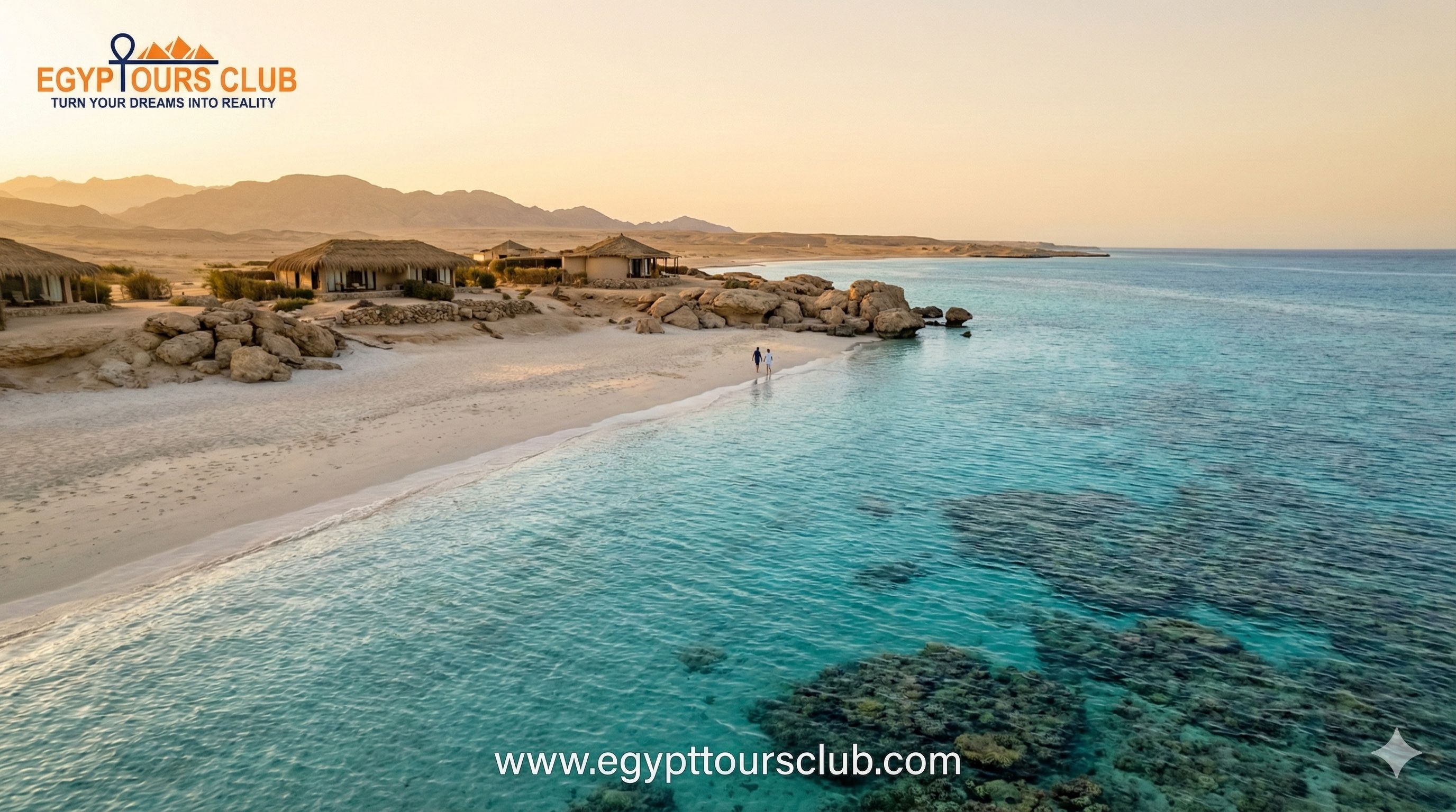 Marsa Alam day tours snorkeling diving and dolphin trips