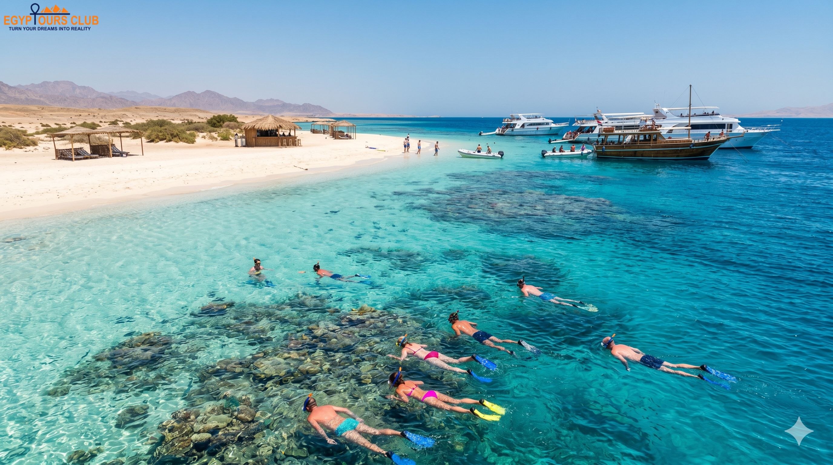 Snorkeling in clear Red Sea water near Hurghada island reefs