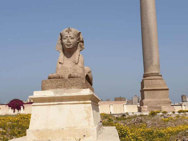 Tour de un Día por Alejandría | Catacumbas, Columna de Pompeyo y Ciudadela de Qaitbay