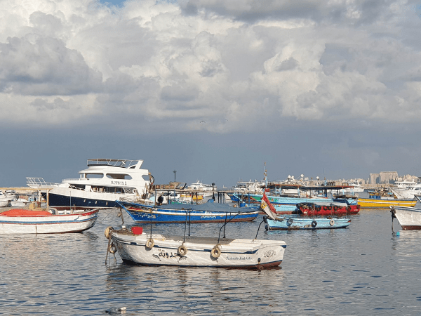Alexandria Half Day Tour