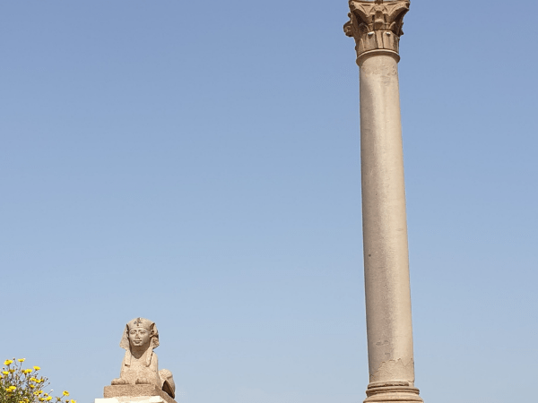 Alexandria Half Day Tour
