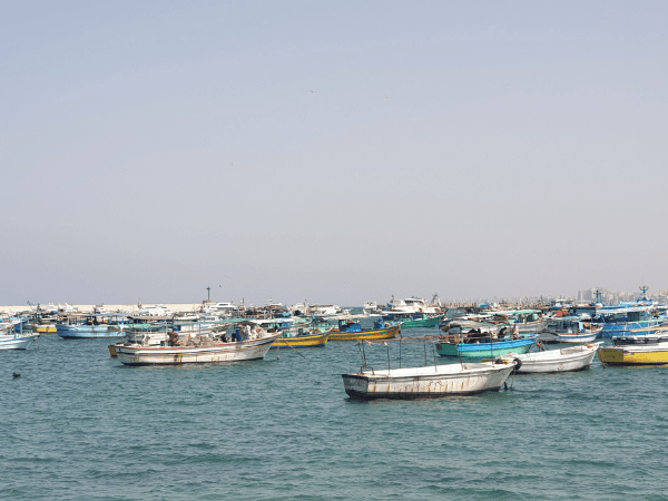 Alexandria Half Day Tour