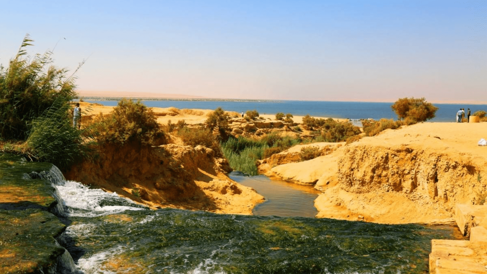 El Fayoum . gallery