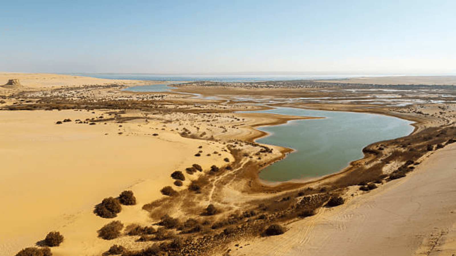 El Fayoum . gallery