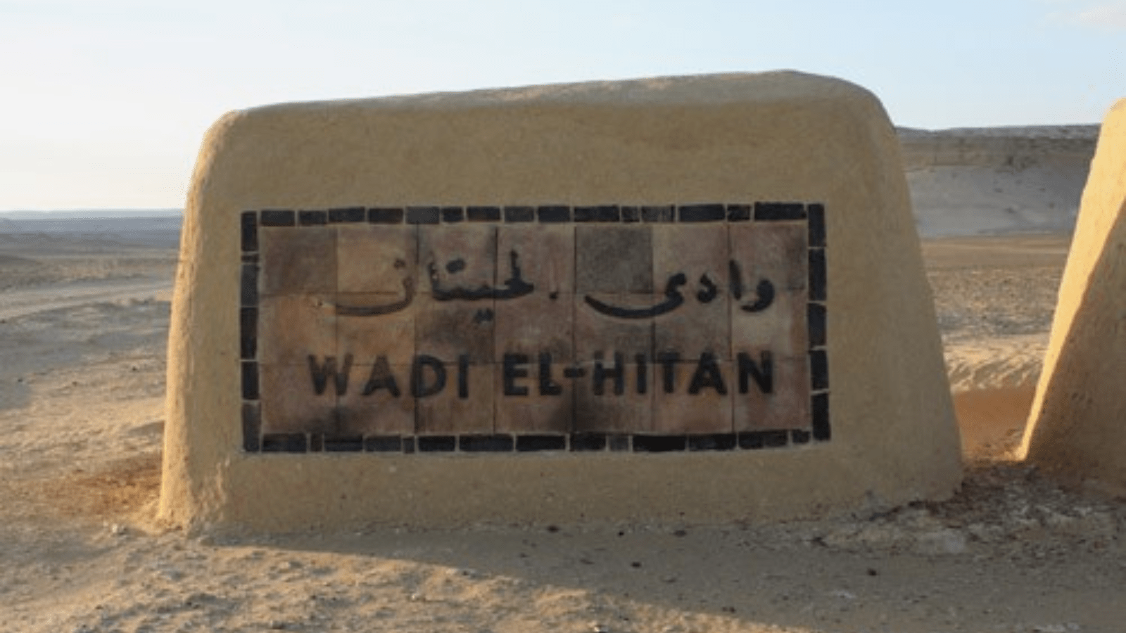 El Fayoum . gallery