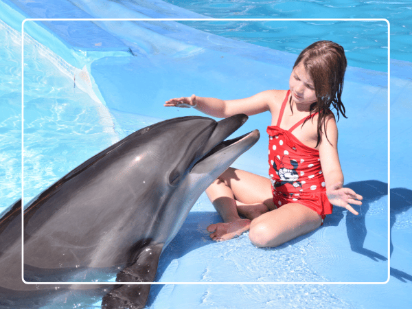 Swim with dolphins for 15 minutes.