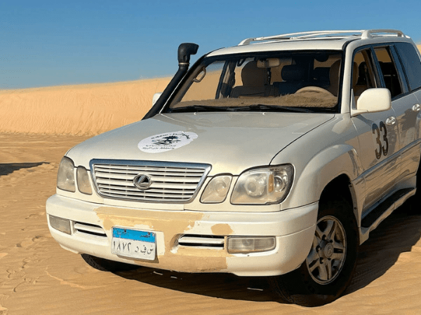 Safari in Jeep 4X4