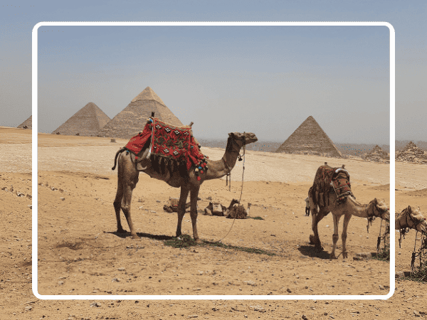 Pyramids of Giza Visit