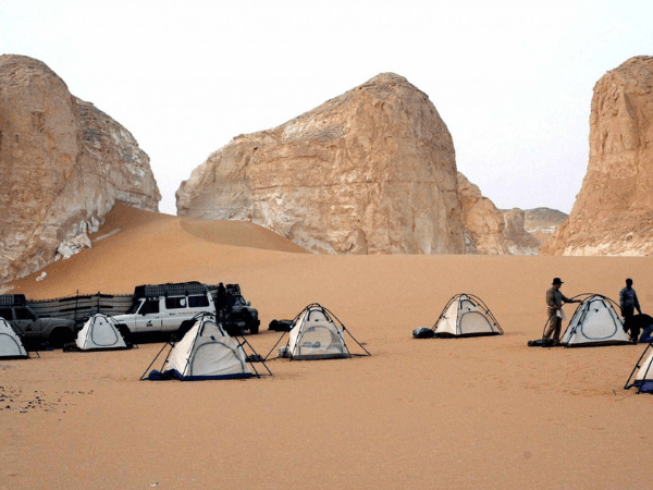 Campamento y cena