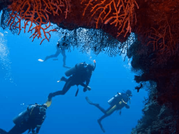 Snorkeling