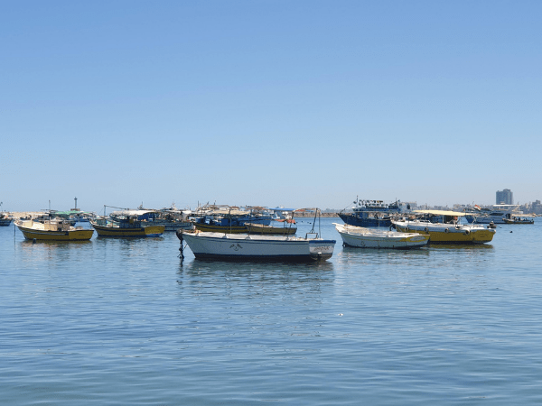 El Mar Mediterráneo (Tour Opcional)